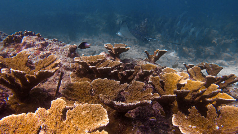 Florida Keys National Marine Sanctuary