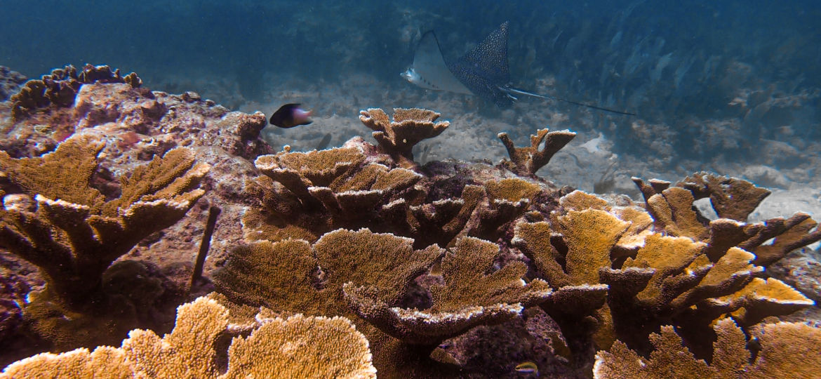 Florida Keys National Marine Sanctuary