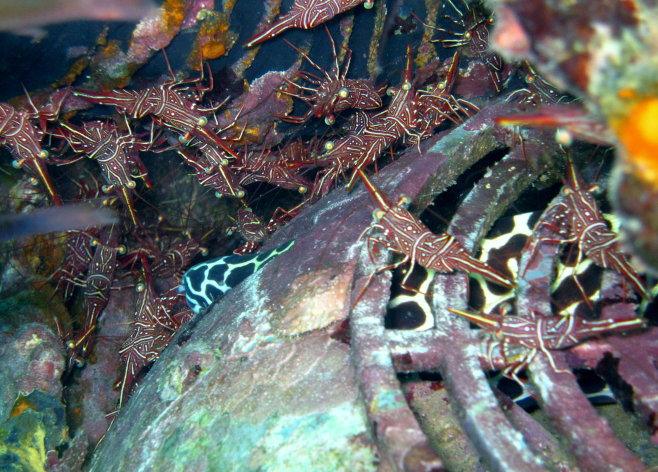 Boonsung wreck