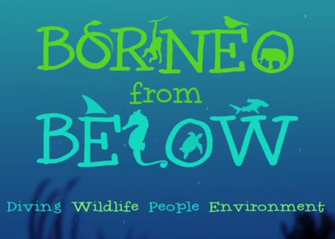 borneo1_featured