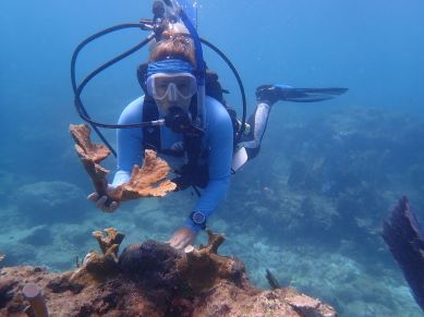 Florida Keys National Marine Sanctuary