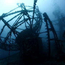 Best Dive Sites in the Florida Keys