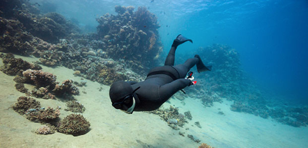 try freediving