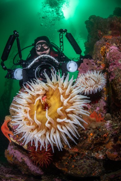 Waterborne Adventure - Monterey Bay