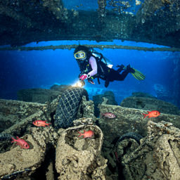 scuba diving in Sharm el Sheikh