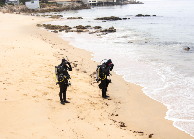 shore diving with a camera