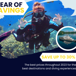 Explorer Ventures Year of Savings