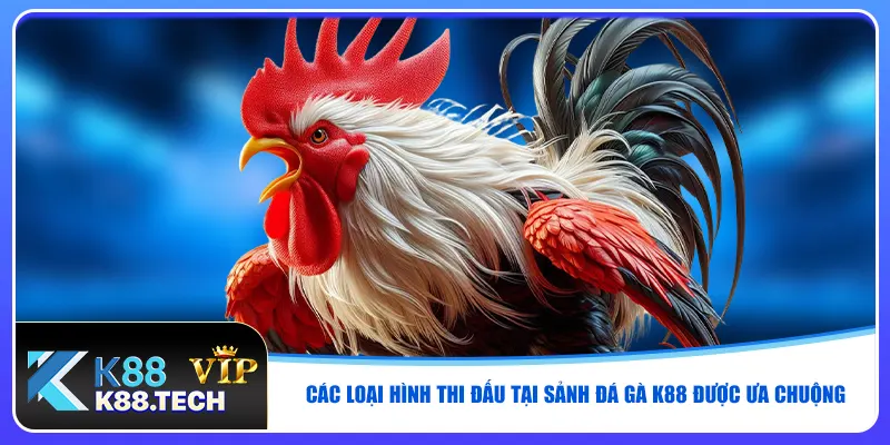 Các loại hình thi đấu tại sảnh đá gà K88 được ưa chuộng